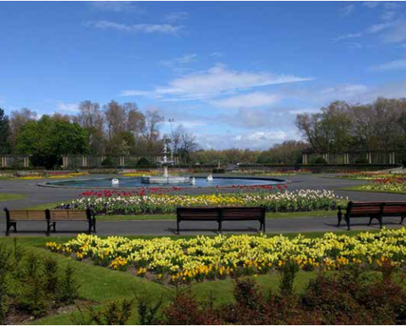 stanley park.PNG